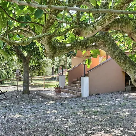 Appartement I Gelsi Bilo Nr 2 *
